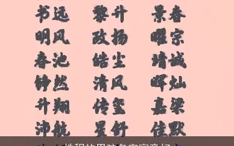 姓程的男孩名字寓意好