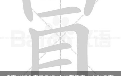 博字跟哪个字起名好(中间带博字的女孩名字)