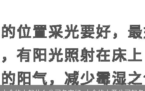 木命的人起什么公司名字好 木命的人开公司起名