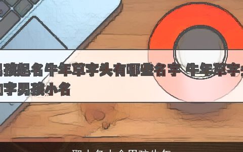 取小名大全男孩龙年