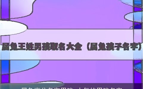 属兔高分名字男孩 大气的男孩名字