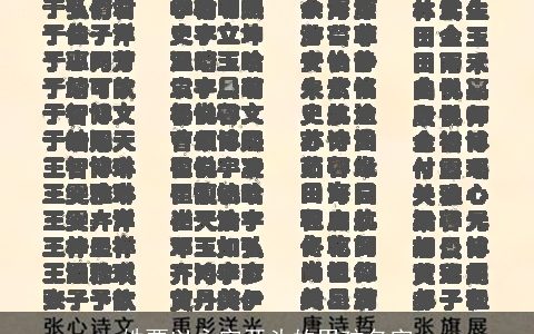 姓贾以永字开头的男孩名字