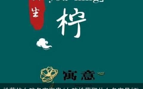 姓蔡的女孩名字高贵(女孩姓蔡取什么名字最好)