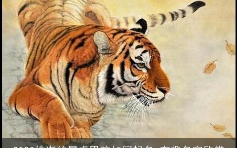 2023姓谌的属虎男孩如何起名 有趣名字欣赏