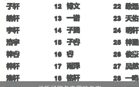 姓氏杨取名字男孩名字