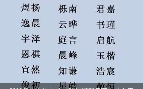 2023年出生的姓孟男孩如何起名宜用什么字