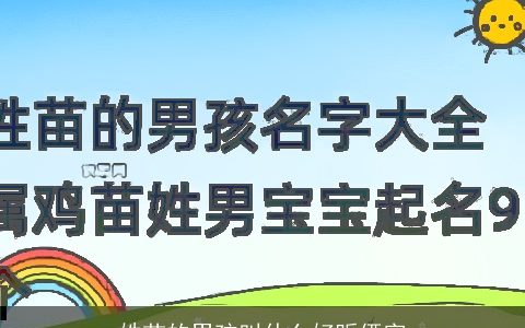 姓苗的男孩叫什么好听俩字