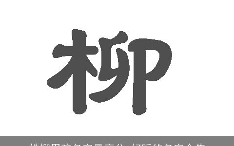 姓柳男孩名字最高分 好听的名字合集