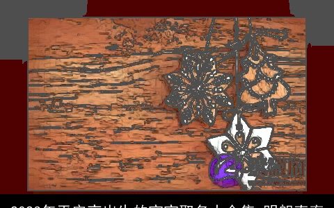 2023年平安夜出生的宝宝取名大合集 明朗直率