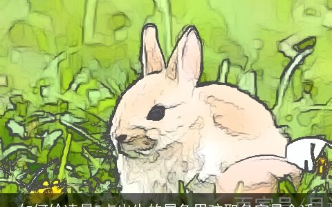 如何给凌晨5点出生的属兔男孩取名字最合适