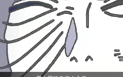 带土男孩名字大全集