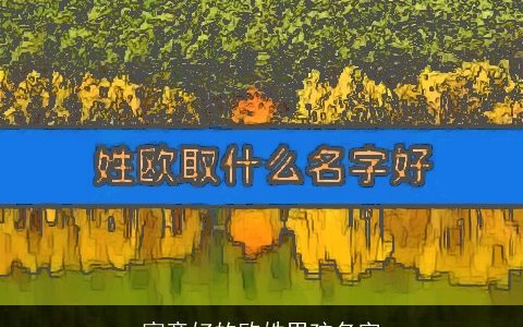 寓意好的欧姓男孩名字