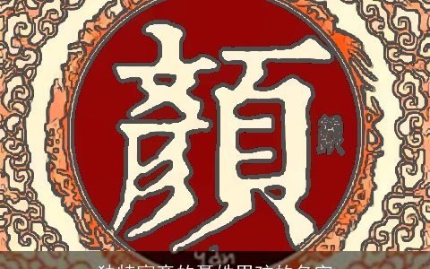 独特寓意的聂姓男孩的名字