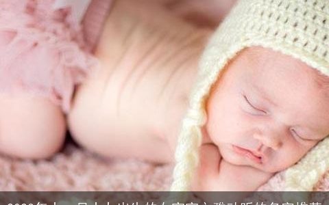 2023年十一月十九出生的女宝宝文雅动听的名字推荐