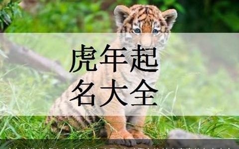今年出生的虎女宝宝起名怎么取 女孩取名比较有寓意的名字大全
