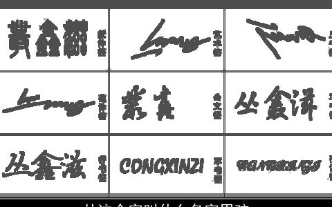 丛这个字叫什么名字男孩