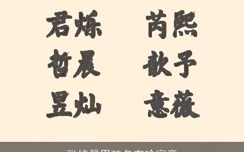 张梓晨男孩名有啥寓意