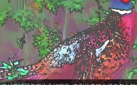 农村养殖场名字大全好听的 吉利的养殖公司名怎么起