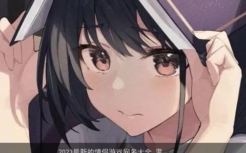 2023最新的情侣游戏网名大全 温柔文静诗意的情侣游戏网名名字大全最新