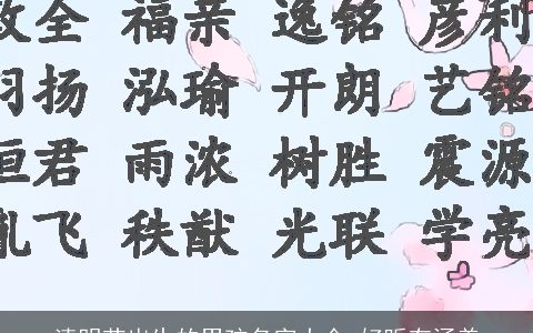 清明节出生的男孩名字大全 好听有涵养