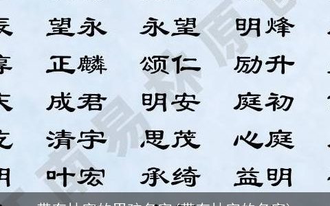 带有林字的男孩名字(带有林字的名字)