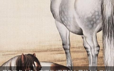 属兔的名人伟人有哪些(男属猴女属蛇女大三岁)