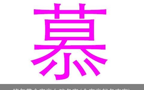 猪年带金字旁女孩名字(金字旁起名吉字)