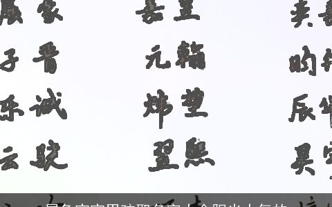 属兔宝宝男孩取名字大全阳光大气的