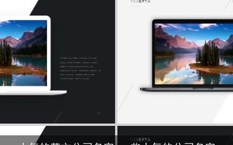 大气的英文公司名字 一些大气的公司名字