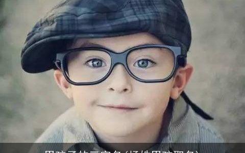 男孩子的三字名(杨姓男孩取名)