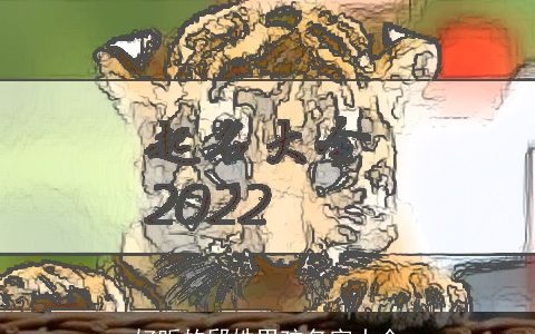 好听的邱姓男孩名字大全