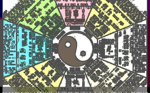 2023年2月11日出生的男孩五行缺少什么取什么名字好