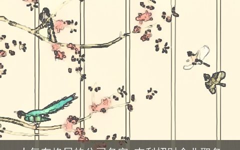 大气有格局的公司名字 吉利招财企业取名