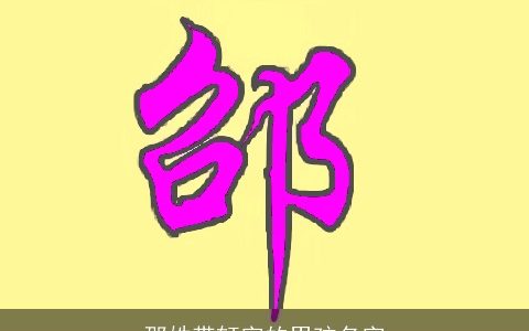 邵姓带轩字的男孩名字