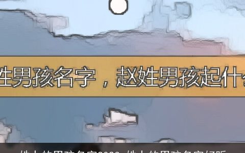 姓卜的男孩名字2023 姓卜的男孩名字好听