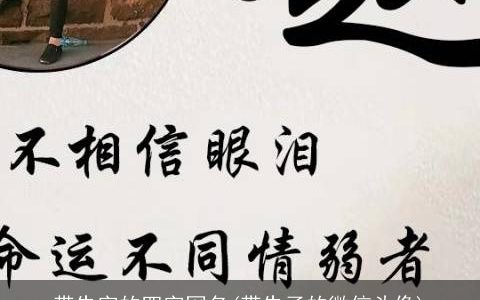 带朱字的四字网名(带朱子的微信头像)