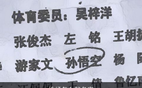 姓杨怎么起名字