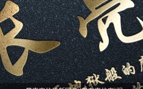 带爽字的清新网名(带有爽的字)