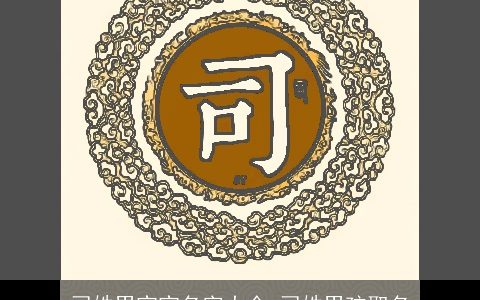 司姓男宝宝名字大全 司姓男孩取名