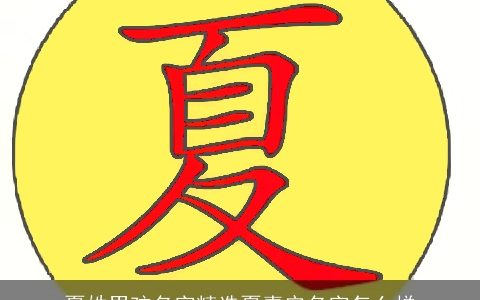 夏姓男孩名字精选夏嘉安名字怎么样