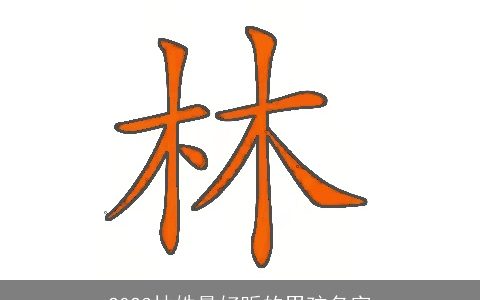 2023林姓最好听的男孩名字