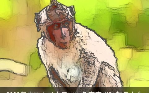 2023年农历七月十三出生兔宝宝男孩起名大全