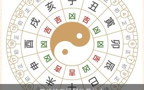 王姓的五行属性是什么