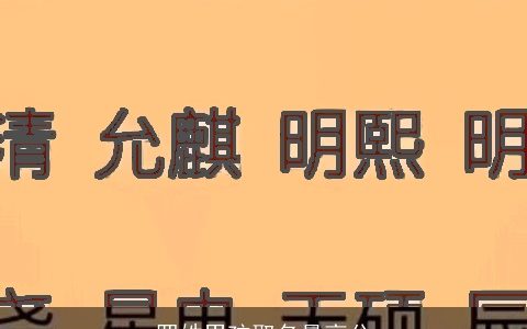 罗姓男孩取名最高分