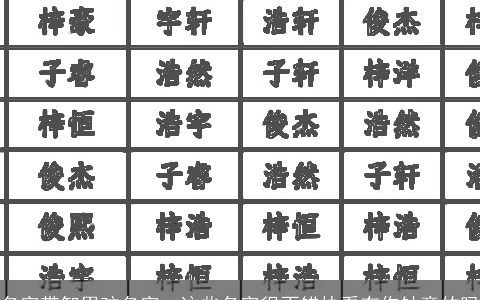 名字带智男孩名字  这些名字很不错快看有你钟意的吗