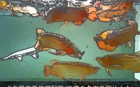 龙鱼混养最佳搭配图(热带鱼名字及图片大全)
