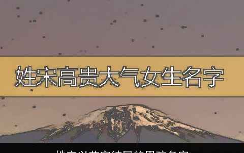 姓宋以艺字结尾的男孩名字