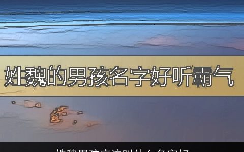 姓魏男孩应该叫什么名字好