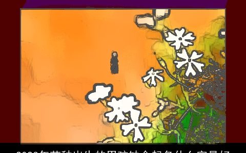 2024年芒种出生的男孩缺金起名什么字最好