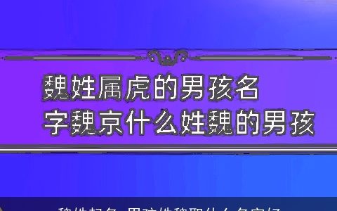 魏姓起名 男孩姓魏取什么名字好